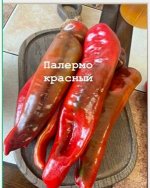 &quot;Перец сладкий          ПАЛЕРМО красный         В пакете семян 7 шт&quot;