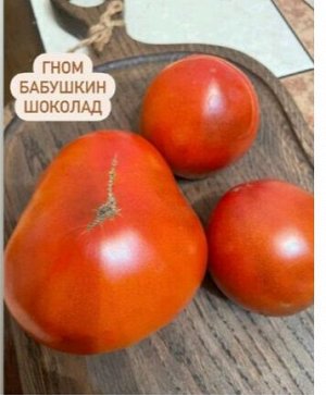 " Гном БАБУШКИН ШОКОЛАД          / Dwarf Grandma’s Chocolate /"