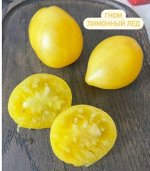 &quot; Гном ЛИМОННЫЙ ЛЕД         / Lemon ice dwarf /&quot;