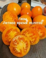 &quot;Гном ЛЕТНЕЕ ВРЕМЯ            ЗОЛОТОЕ&quot;