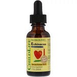 ChildLife, Важные питательные вещества, эхинацея, вкус натурального апельсина, 29,6 мл