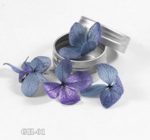 Сухоцветы для дизайна ногтей
