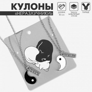Кулоны парные «Инь ян», дружба, 45 см, цвет чёрный/белый в серебре