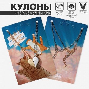 Кулоны парные на магните «Мир», 45 см, цвет МИКС