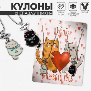 Кулоны парные «Пузатые котики», цвет чёрный/белый, 45 см