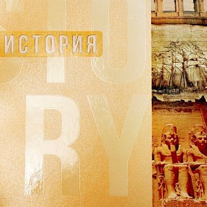 Набор предметных тетрадей 48 листов Calligata «Полоса», 10 предметов