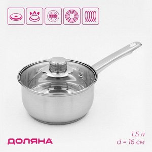 Ковш Доляна «Сильве», 1.5 л, d=16 см, с крышкой, металлическая ручка, индукция, нержавеющая сталь
