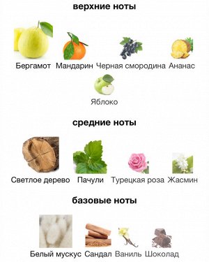 Духи Quantum Molecule Zarkoperfume 100 мл. Оригинал