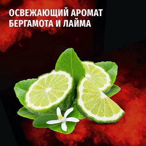 Фа Мужской гель для душа "Сила притяжения" 250 мл