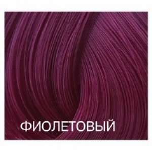 Фиолетовый - Expert Color 100 ml