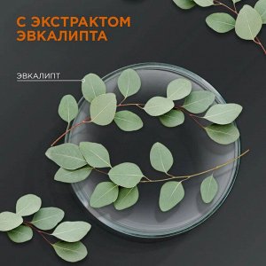 Шаума Мужской шампунь для волос "Энергия Спорта 2-в-1" 360 мл