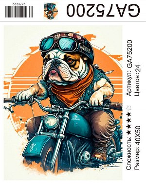 Набор для творчества "Алмазная мозаика" 40*50см