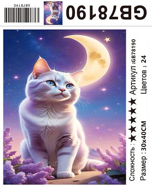Набор для творчества "Алмазная мозаика" 30*40см