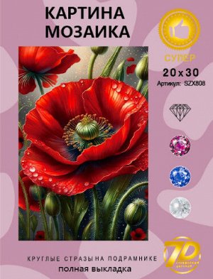 Набор для творчества "Алмазная мозаика" 20*30см