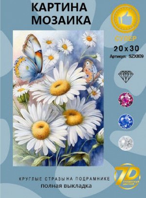 Набор для творчества "Алмазная мозаика" 20*30см
