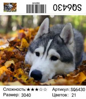 Набор для творчества "Рисование по номерам" 30*40см
