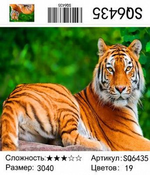 Набор для творчества "Рисование по номерам" 30*40см