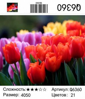 Набор для творчества "Рисование по номерам" 40*50см