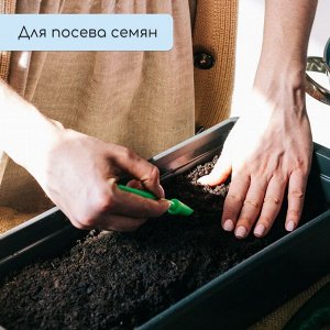 Ящик для рассады, 50 ? 20 ? 10 см, 6 л, пластик, цвет МИКС, «Урожай-3м»