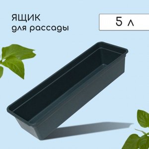 Ящик для рассады, 50x15x10 см, 5 л, пластик, чёрный, «Урожай-5»