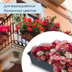 Ящик для рассады, 50x15x10 см, 5 л, пластик, чёрный, «Урожай-5»
