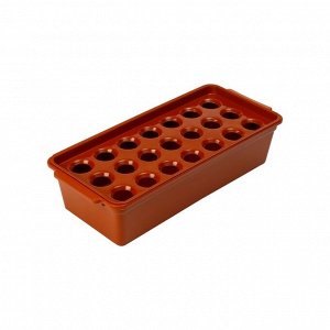 Ящик для выращивания зелёного лука, 40 x 19 x 10 см, 21 лунка, пластик, красный