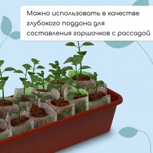 Ящик для рассады, 48x20x10 см, 8 л, пластик, цвет МИКС