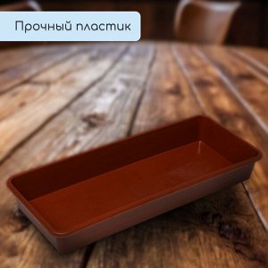 Ящик для рассады, 53 x 21.5 x 7.2 см, 7.5 л, пластик, МИКС