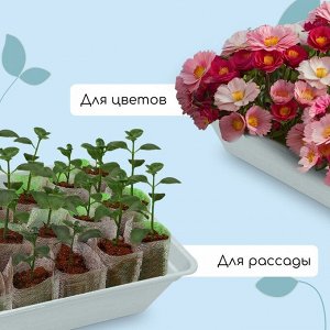 Ящик для рассады, 40x25x10 см, 5 л, пластик, цвет МИКС, «Урожай-4 М»