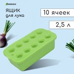 Ящик для выращивания зелёного лука, 29 ? 16 ? 8,5 см, 2,5 л, 10 лунок, пластик, зелёный, Greengo