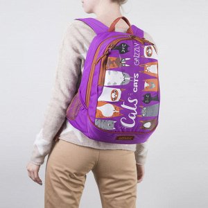 Рюкзак молодёжный, отдел на молнии, 2 наружных кармана, цвет фиолетовый