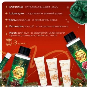 Новогодний подарочный набор косметики «Новый год не за горами» для душа и ванны, зеленая серия