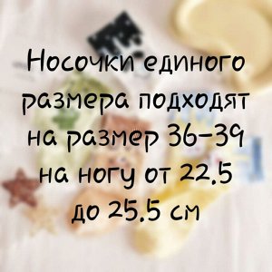 Размерная сетка
