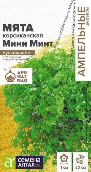 Цветы Мята Мини минт декоративная корсиканская/Сем Алт/цп 3 шт. Ампельные шедевры НОВИНКА