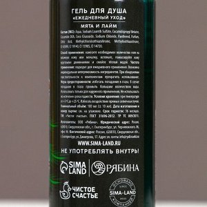Подарочный набор новогодний «Лучшему из лучших», гель для душа 100 мл и мочалка для тела, Чистое счастье