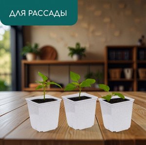 Горшок для рассады, 250 мл, d = 7 см, h = 8 см, пластик, белый