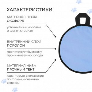 Ледянка эконом Snow Cat, d=30 см, толщина 1 см, цвет МИКС