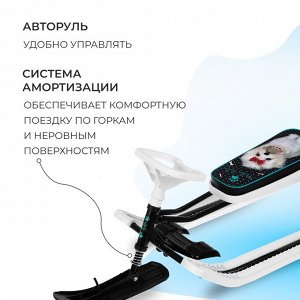 Снегокат «Тимка Спорт 2 + Болонка», ТС2+/БЛ