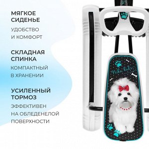 Снегокат «Тимка Спорт 2 + Болонка», ТС2+/БЛ