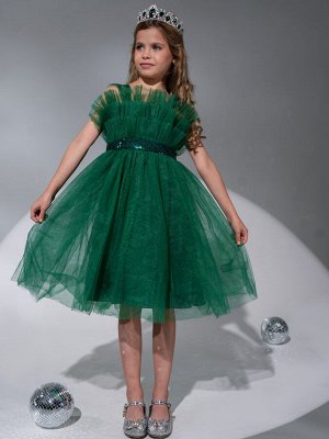 Платье Цвет: зеленый
Сезон: круглогодичный
Состав: Ткань верха- 100% Polyester, Подклад?100% cotton
Уход за вещами: деликатная стирка при t не более 30С

Праздничное платье из фатина идеальный выбор