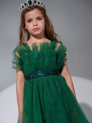 Платье Цвет: зеленый
Сезон: круглогодичный
Состав: Ткань верха- 100% Polyester, Подклад?100% cotton
Уход за вещами: деликатная стирка при t не более 30С

Праздничное платье из фатина идеальный выбор