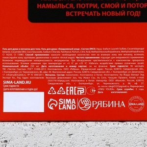 Подарочный набор новогодний «Ничего», гель для душа 250 мл и мочалка для тела, Чистое счастье