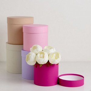 Набор круглых коробок 5 в 1 «Ягодный», 23 x 23 - 15x15 см