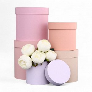 Набор круглых коробок 5 в 1 «Ягодный», 23 x 23 - 15x15 см