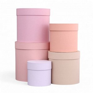 Набор круглых коробок 5 в 1 «Ягодный», 23 x 23 - 15x15 см