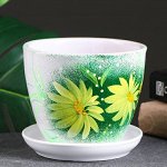 Горшки для цветов — керамические 0.7-1 л