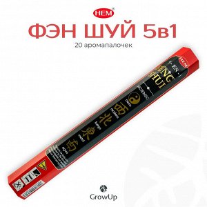 HEM  Feng Shui 5 In 1 Hexa  Благовоние Фэн шуй  5 в 1  20шт