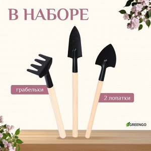 Набор садового инструмента для комнатных растений, 3 предмета: грабли, 2 лопатки, длина 24 см, деревянные ручки, Greengo