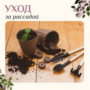 Набор садового инструмента для комнатных растений, 3 предмета: грабли, 2 лопатки, длина 24 см, деревянные ручки, Greengo