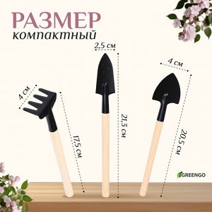 Набор садового инструмента для комнатных растений, 3 предмета: грабли, 2 лопатки, длина 24 см, деревянные ручки, Greengo